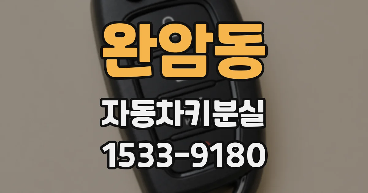 완암동 자동차키분실