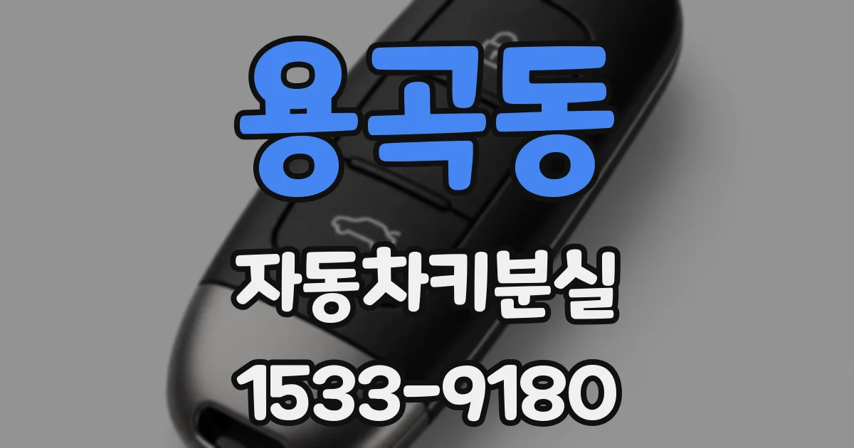 용곡동 자동차키분실