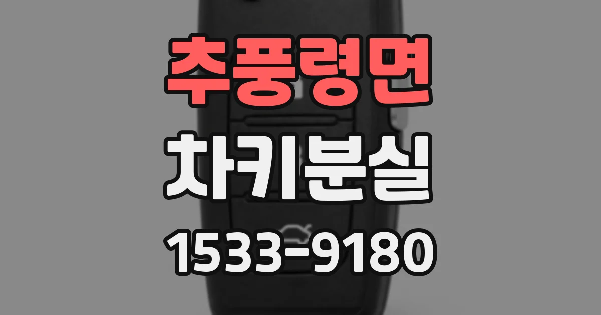 추풍령면 차키분실