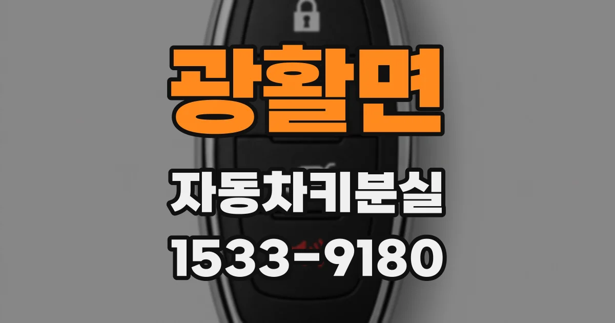 광활면 자동차키분실