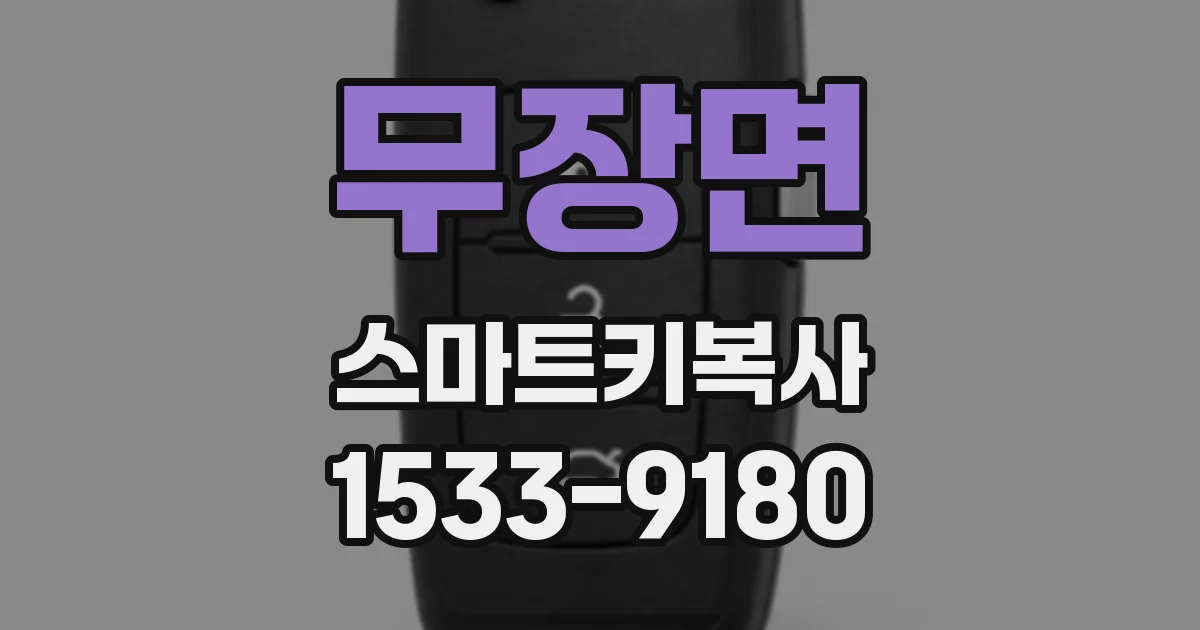 무장면 스마트키복사