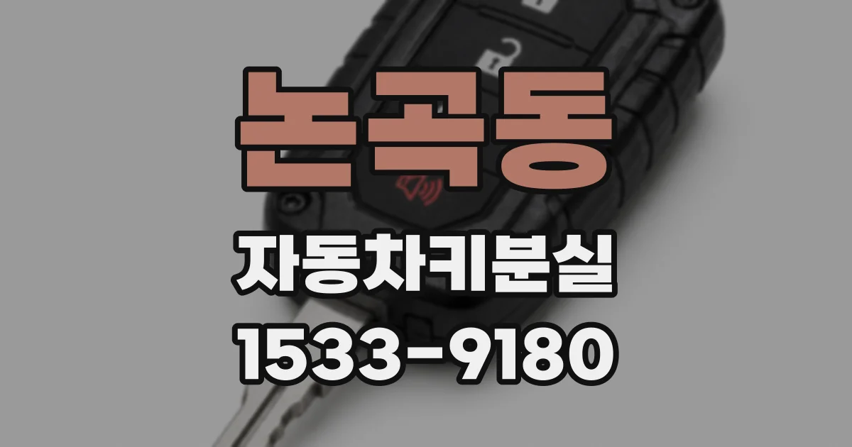 논곡동 자동차키분실
