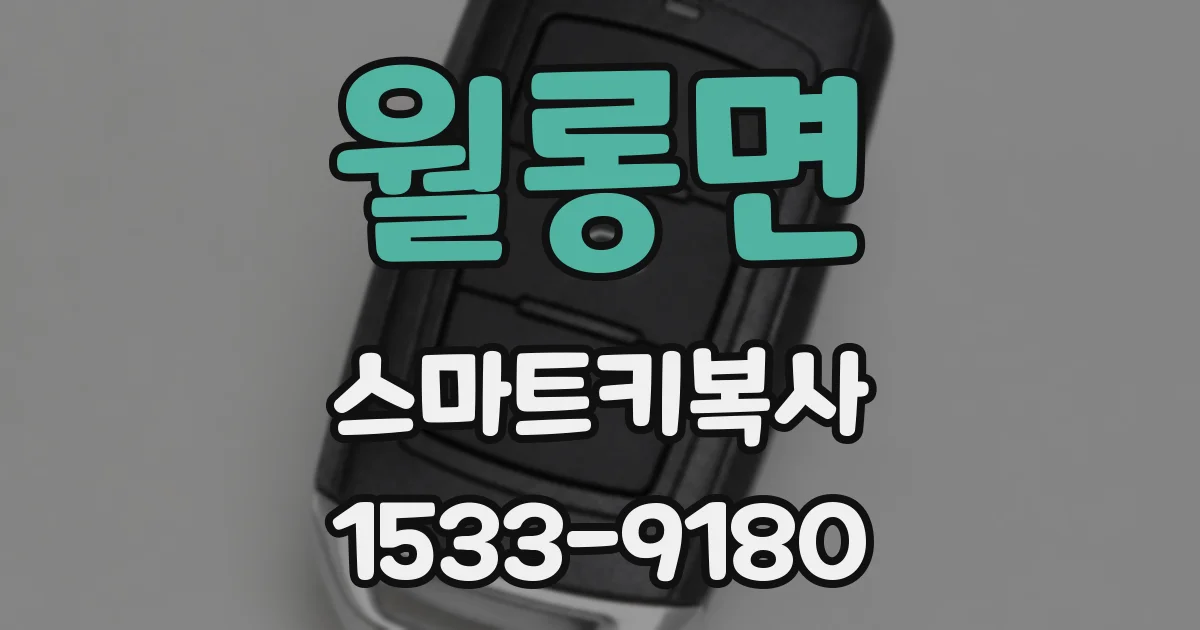월롱면 스마트키복사