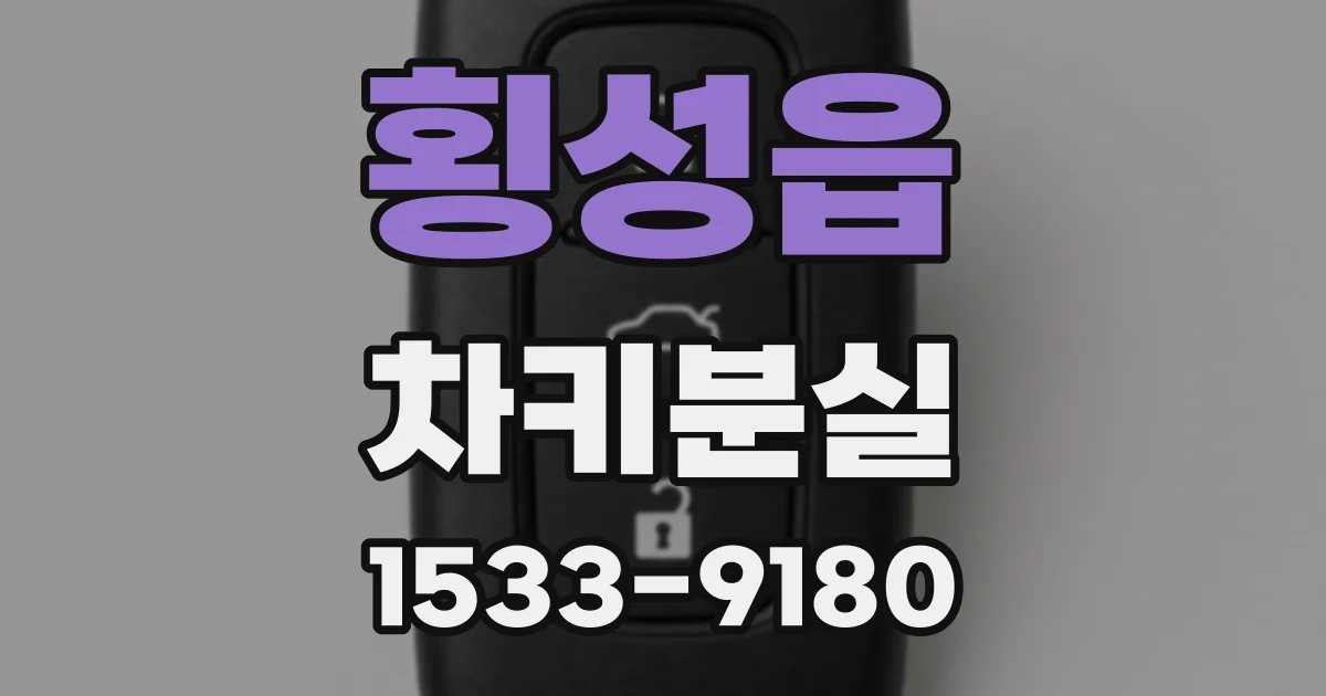횡성읍 차키분실
