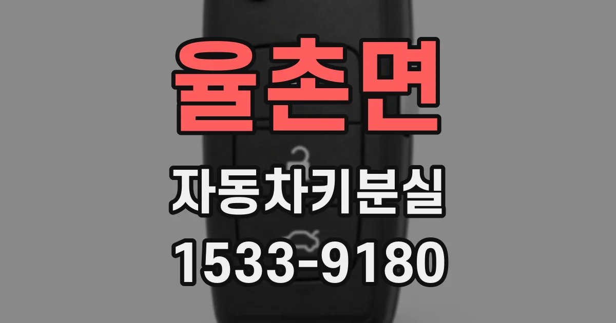 율촌면 자동차키분실