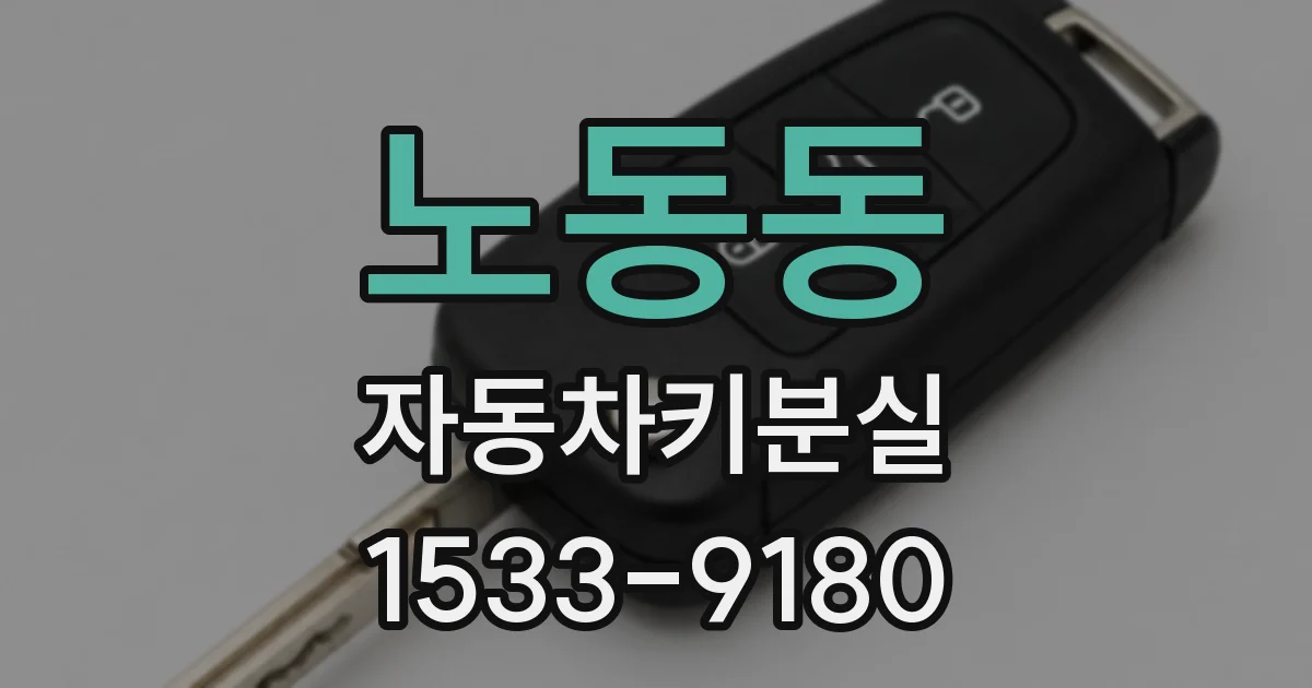 노동동 자동차키분실