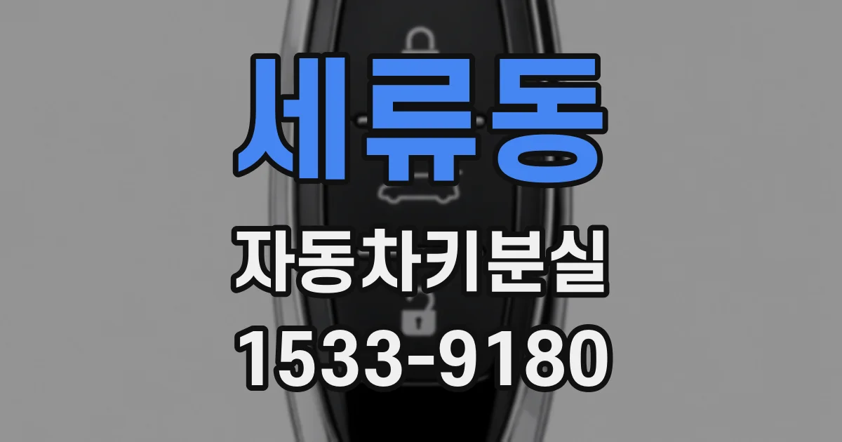세류동 자동차키분실