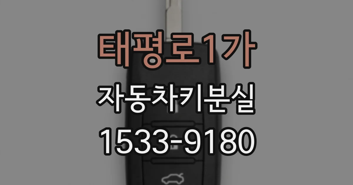 태평로1가 자동차키분실