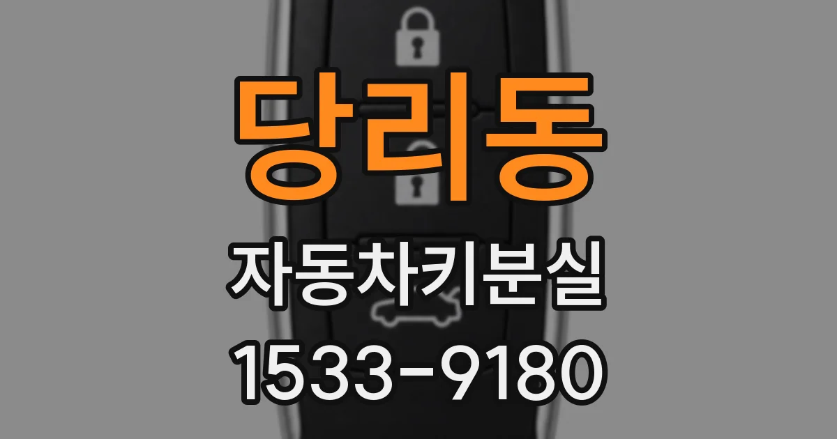 당리동 자동차키분실