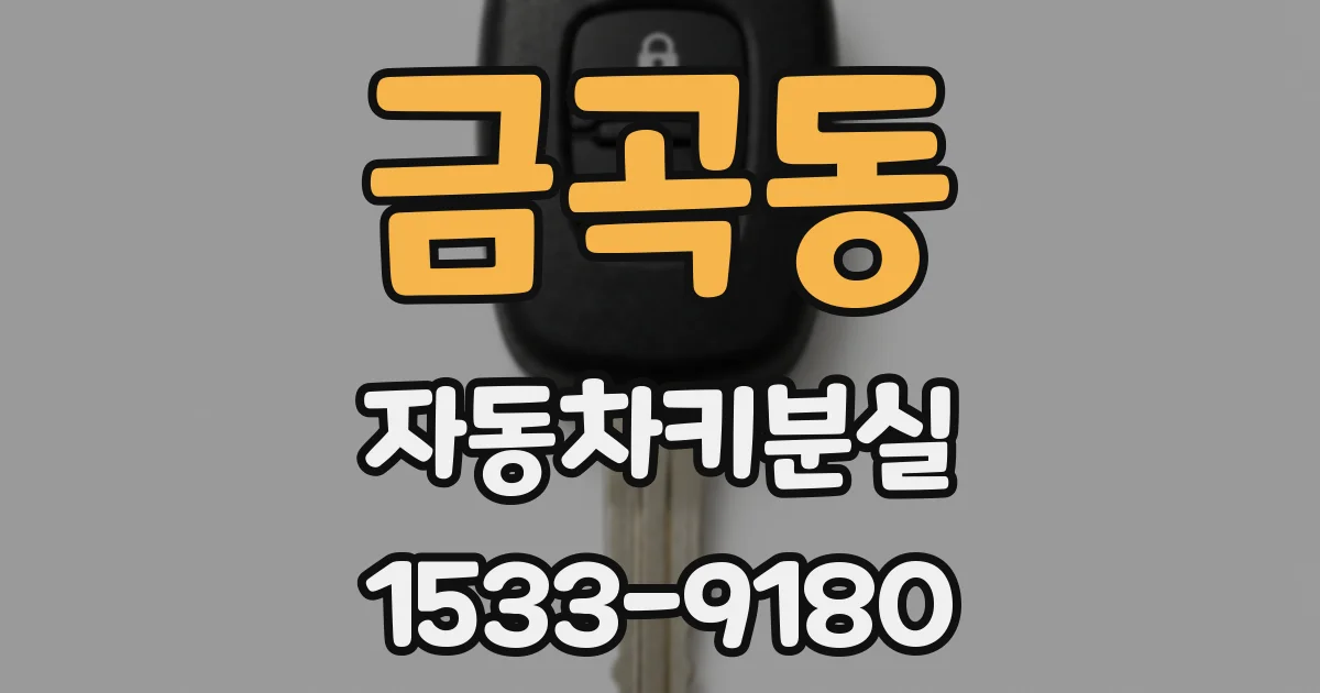 금곡동 자동차키분실