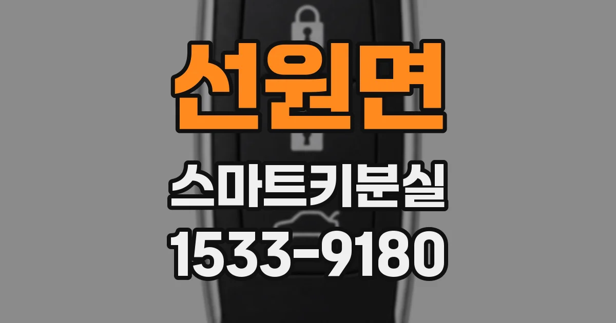 선원면 스마트키분실