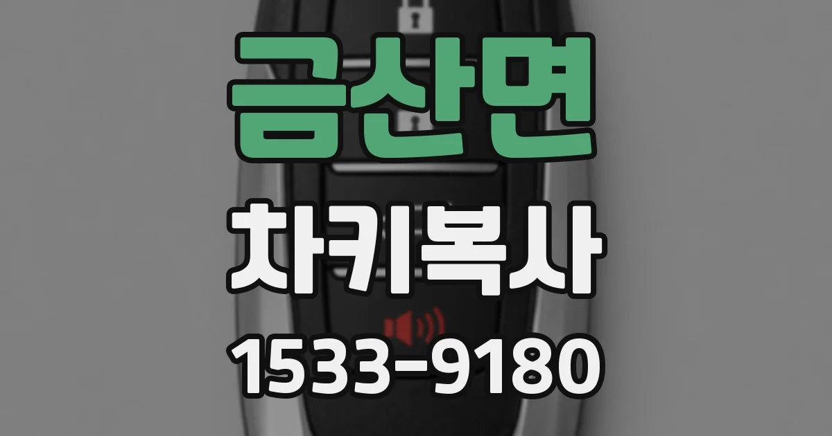 금산면 차키복사