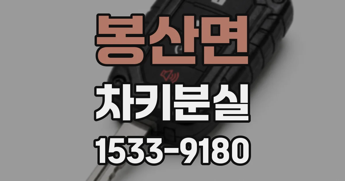 봉산면 차키분실