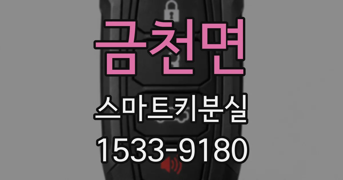 금천면 스마트키분실