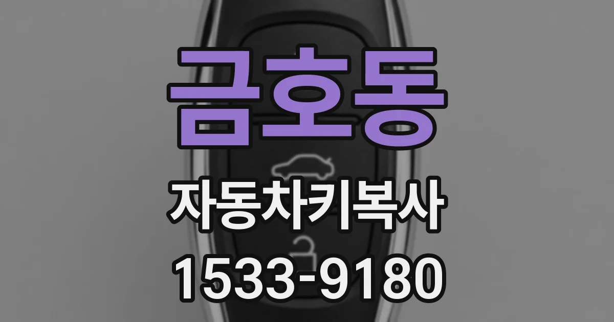 금호동 자동차키복사