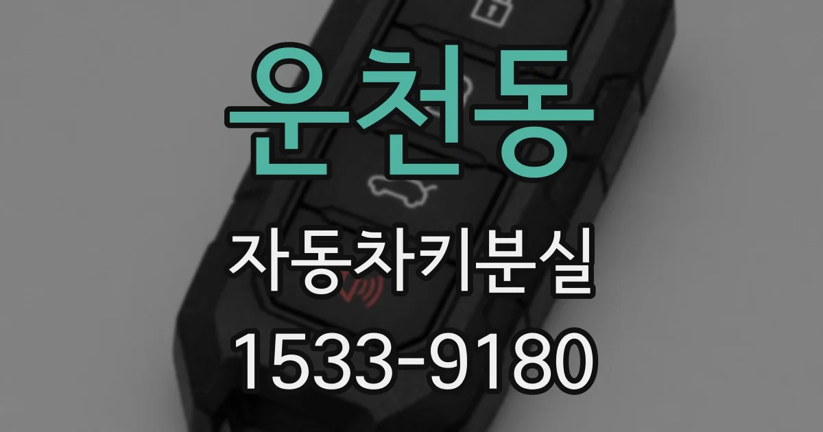 운천동 자동차키분실