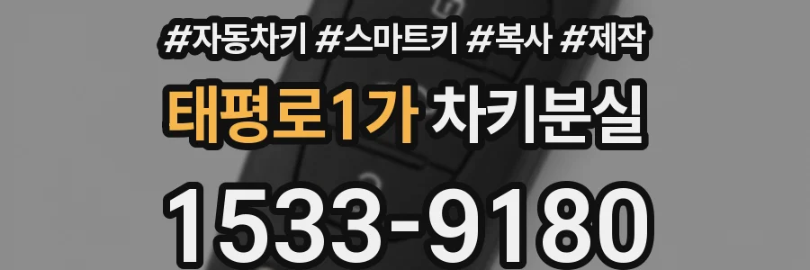 태평로1가 차키분실