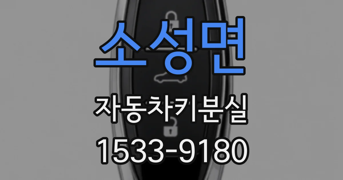 소성면 자동차키분실