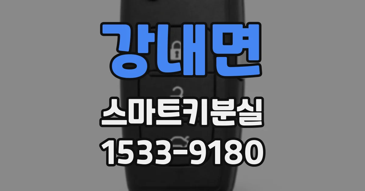 강내면 스마트키분실