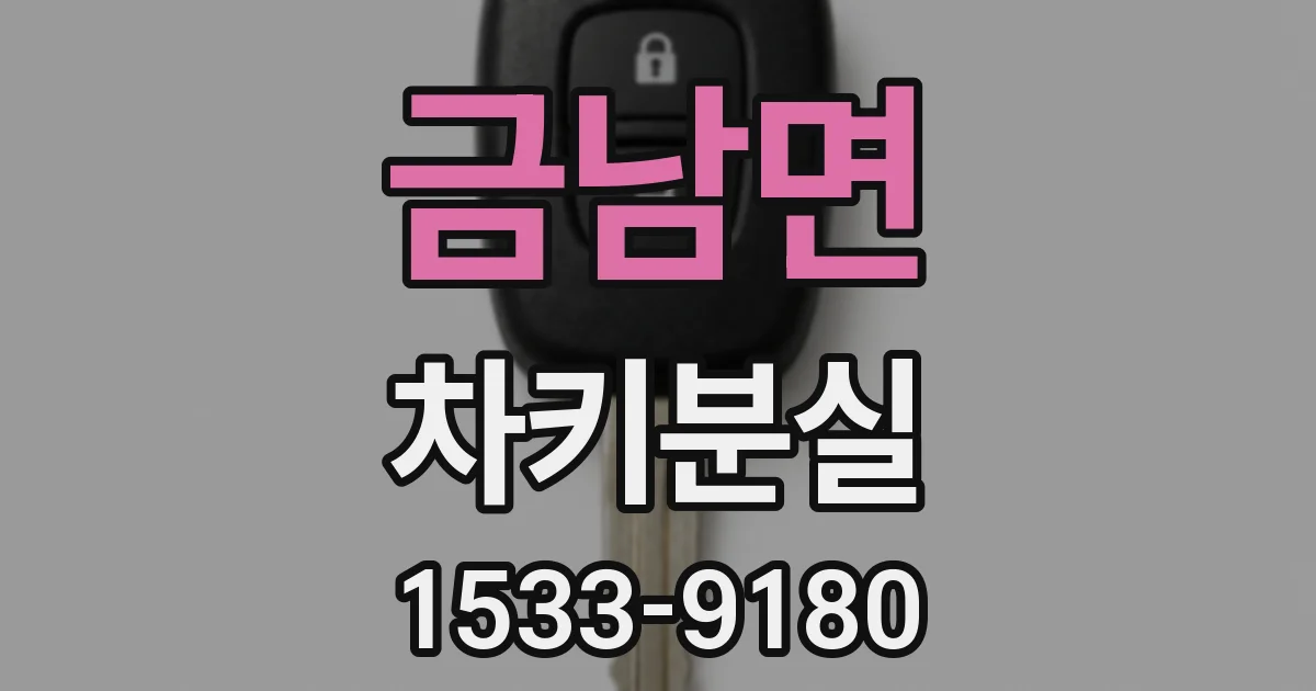 금남면 차키분실