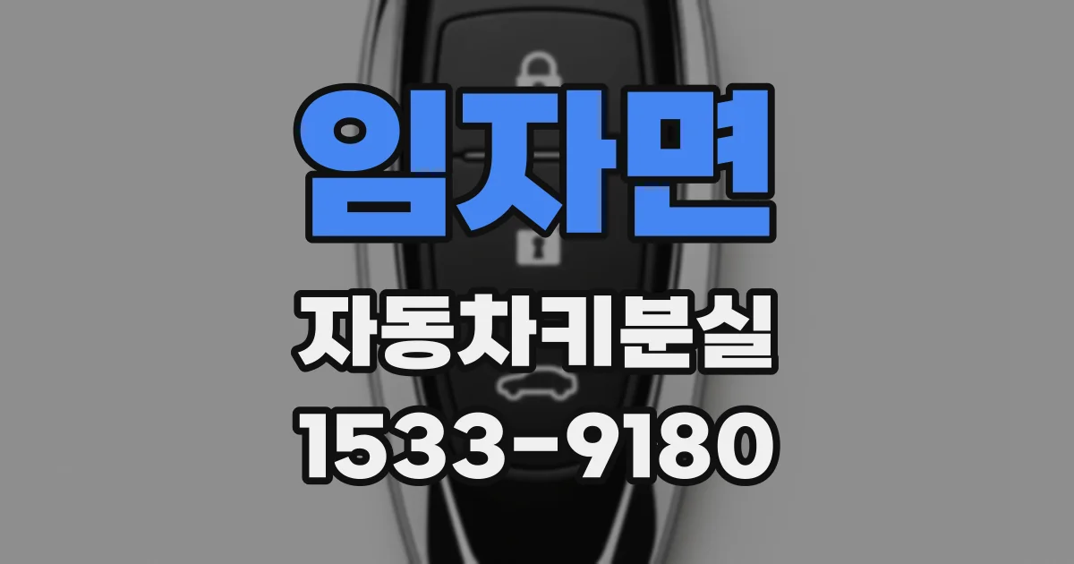 임자면 자동차키분실