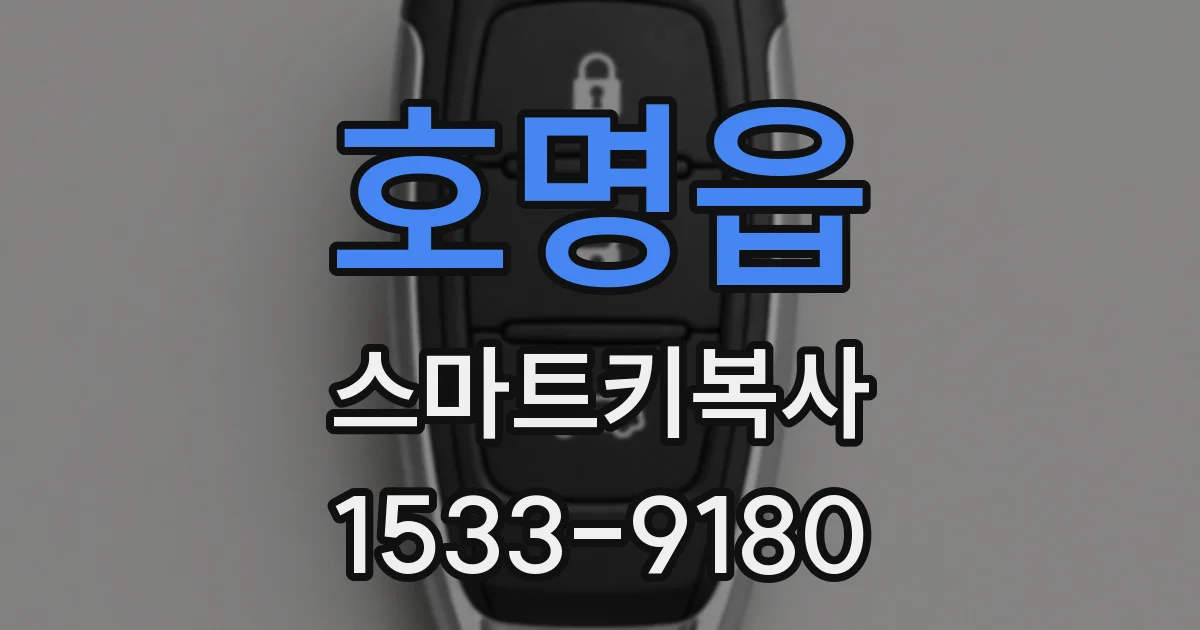 호명읍 스마트키복사
