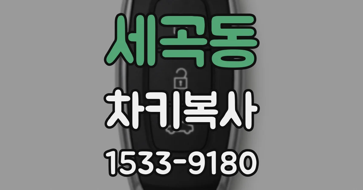 세곡동 차키복사