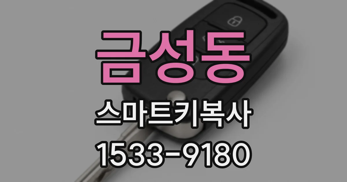 금성동 스마트키복사