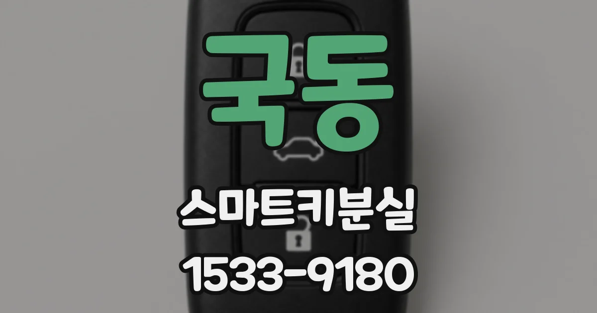 국동 스마트키분실