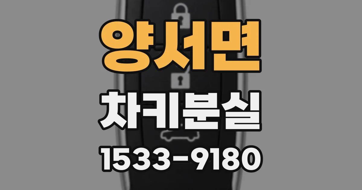 양서면 차키분실