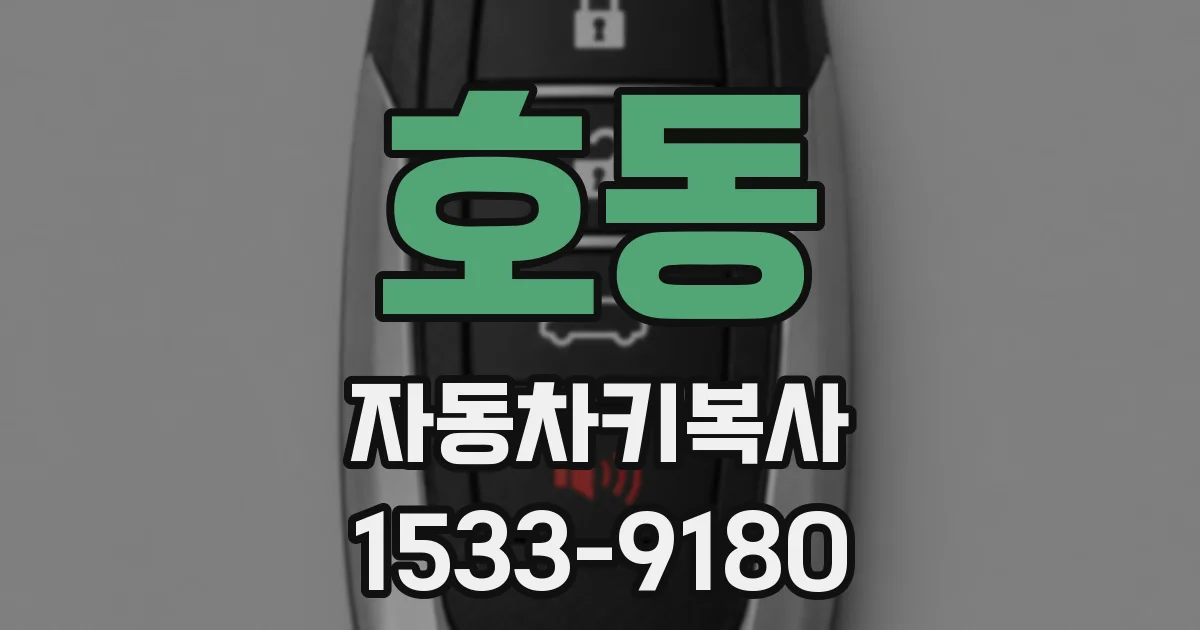 호동 자동차키복사