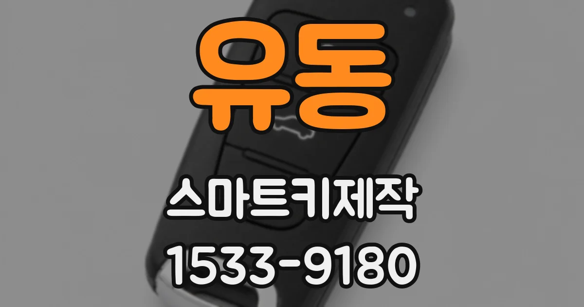 유동 스마트키제작