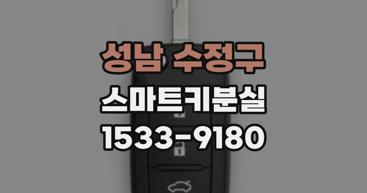 성남 수정구 스마트키분실