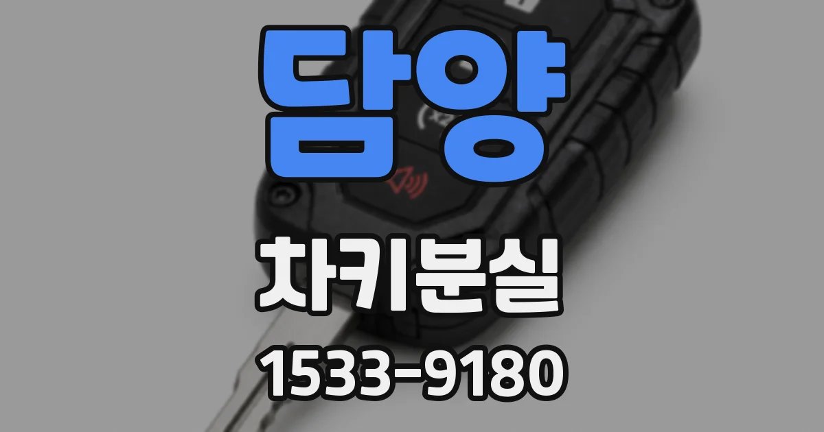 담양 차키분실