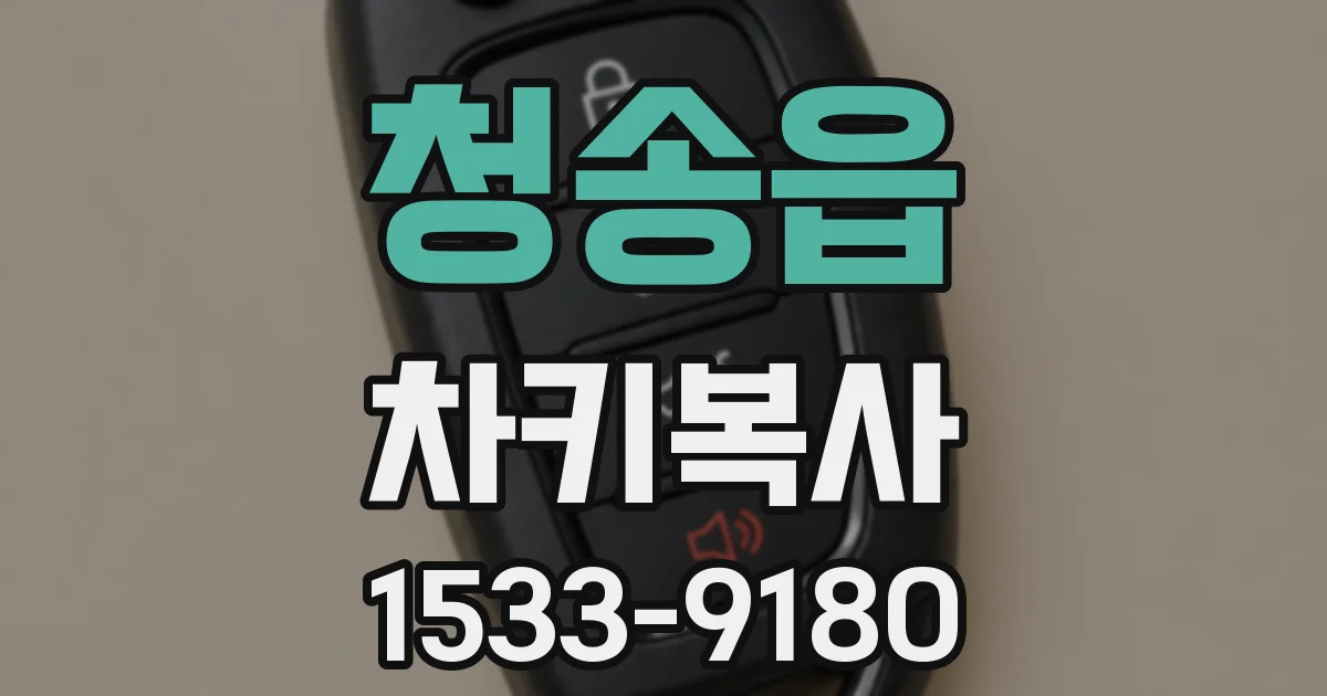 청송읍 차키복사