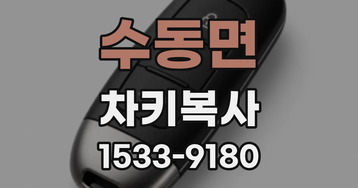 수동면 차키복사