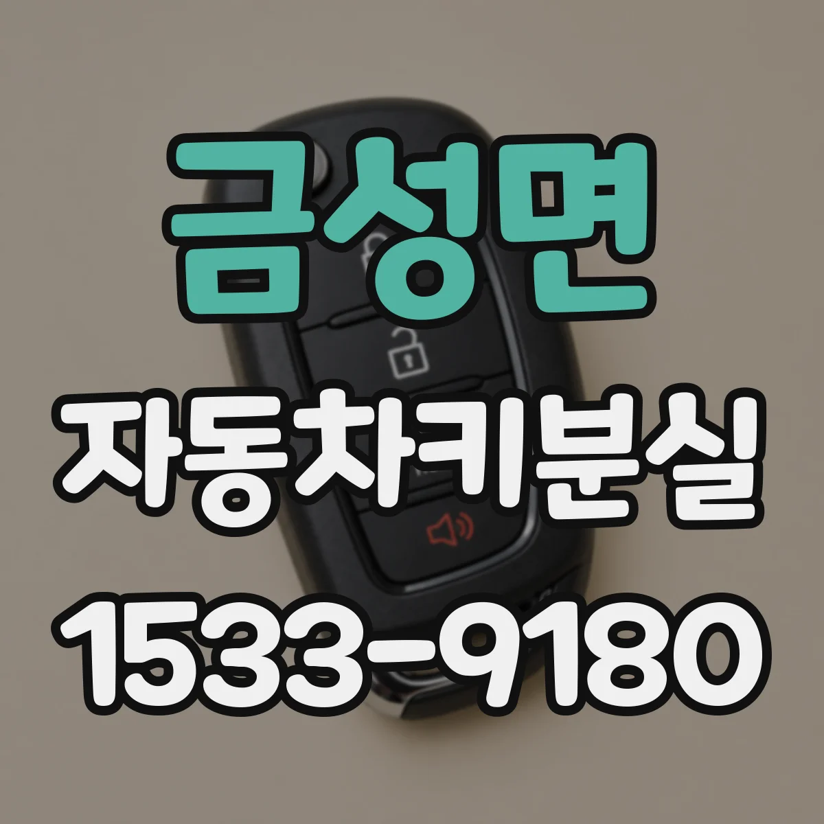 금성면 자동차키분실