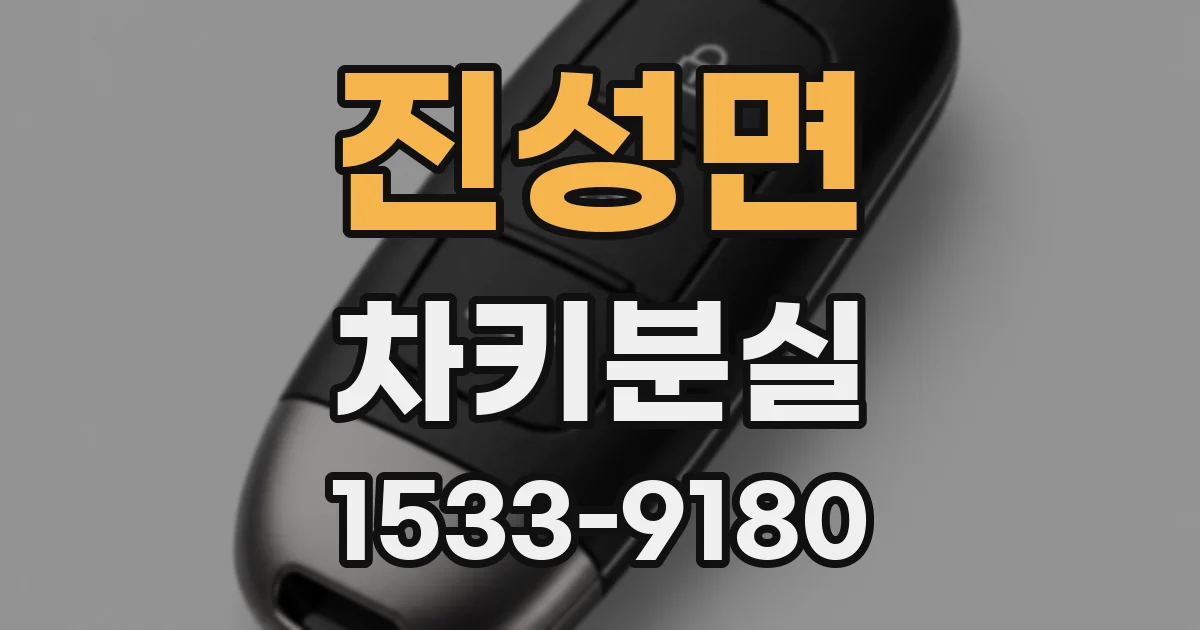 진성면 차키분실
