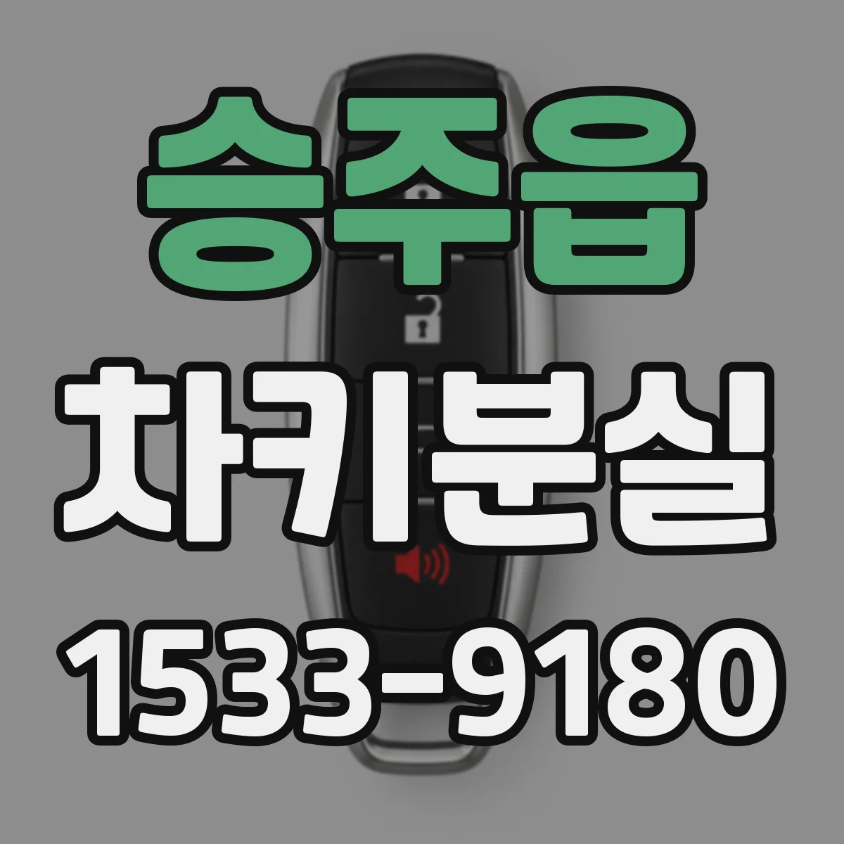 승주읍 차키분실