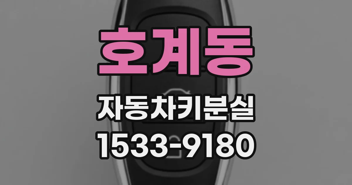 호계동 자동차키분실