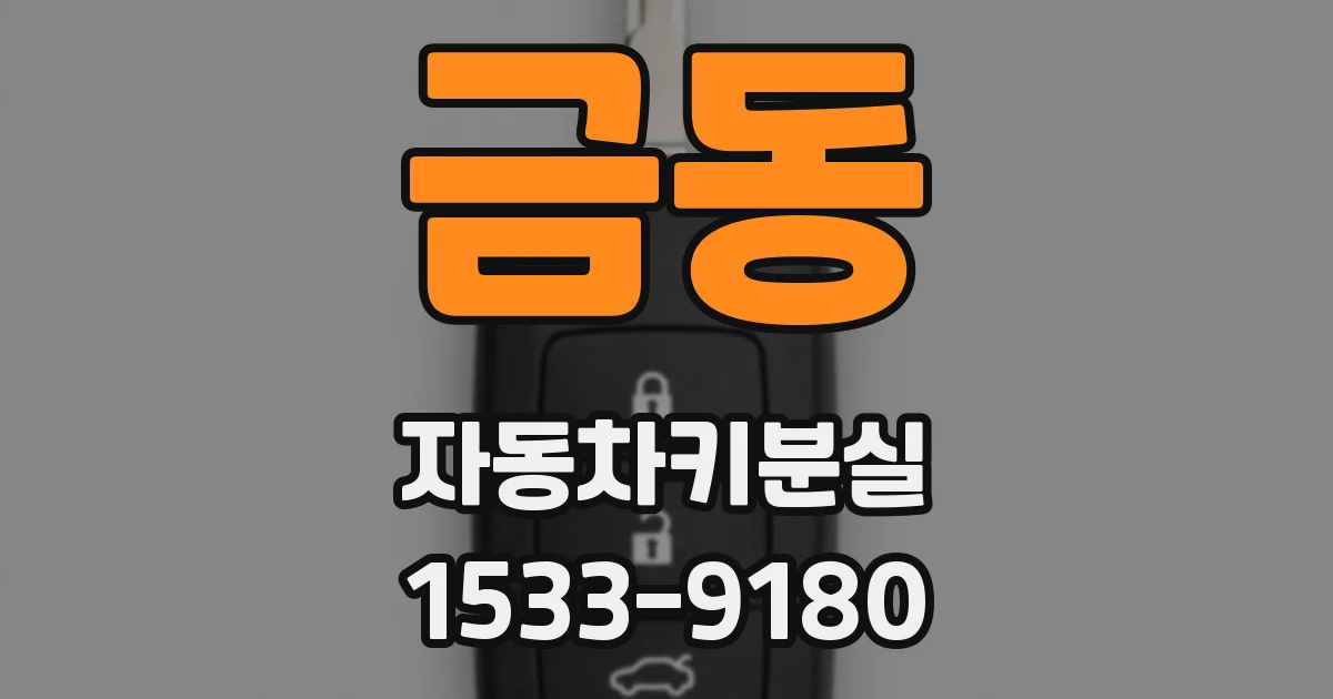 금동 자동차키분실