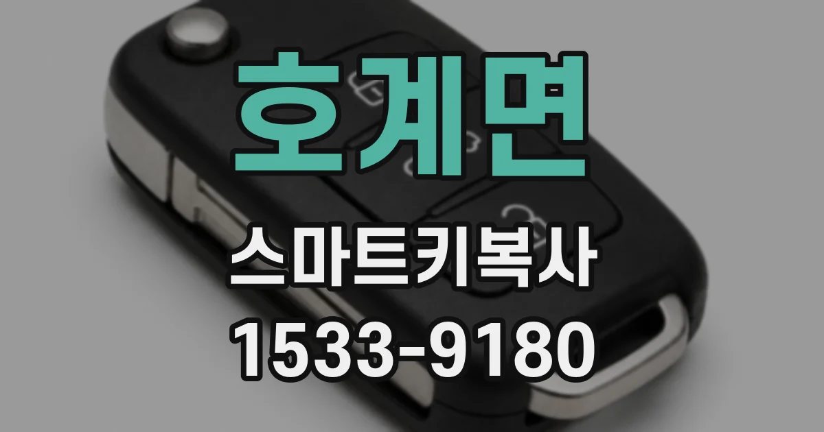 호계면 스마트키복사
