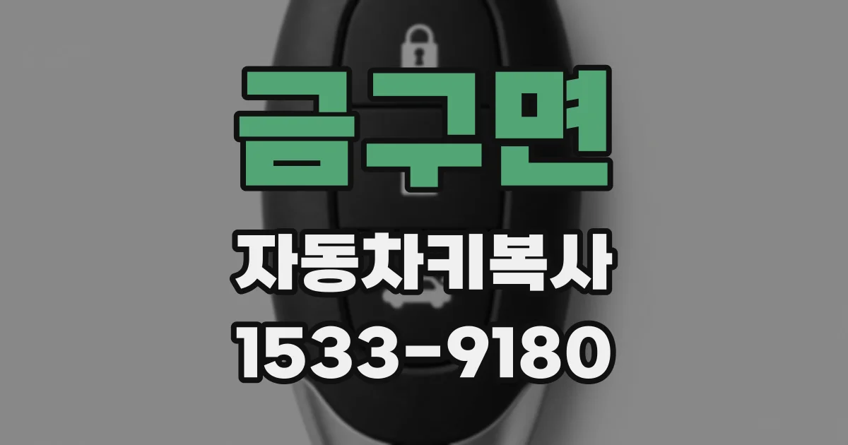 금구면 자동차키복사