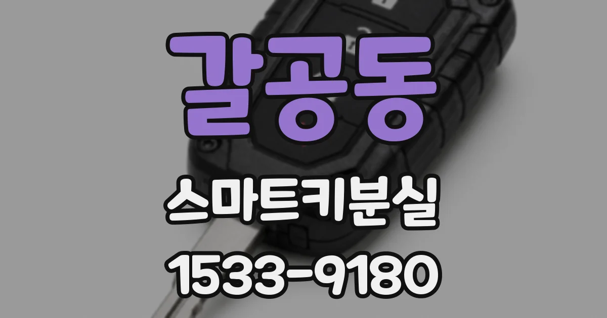 갈공동 스마트키분실