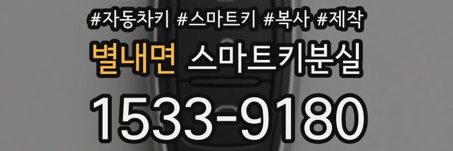별내면 스마트키분실