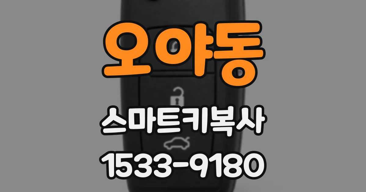 오야동 스마트키복사