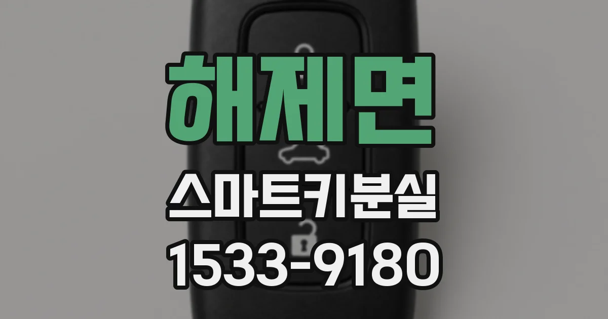 해제면 스마트키분실