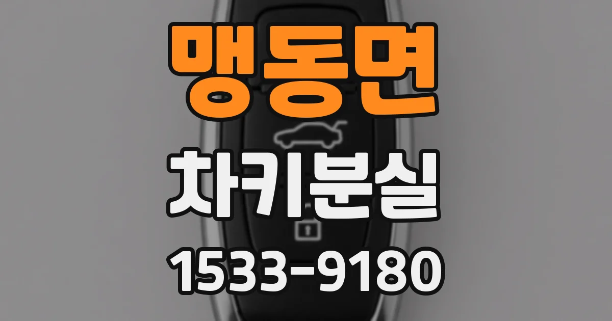맹동면 차키분실