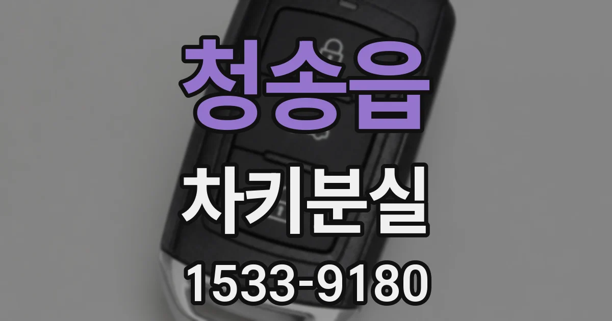 청송읍 차키분실