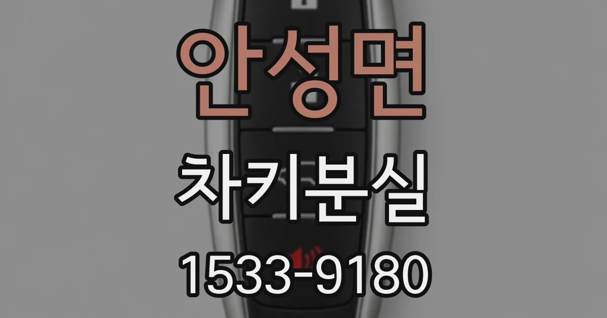안성면 차키분실